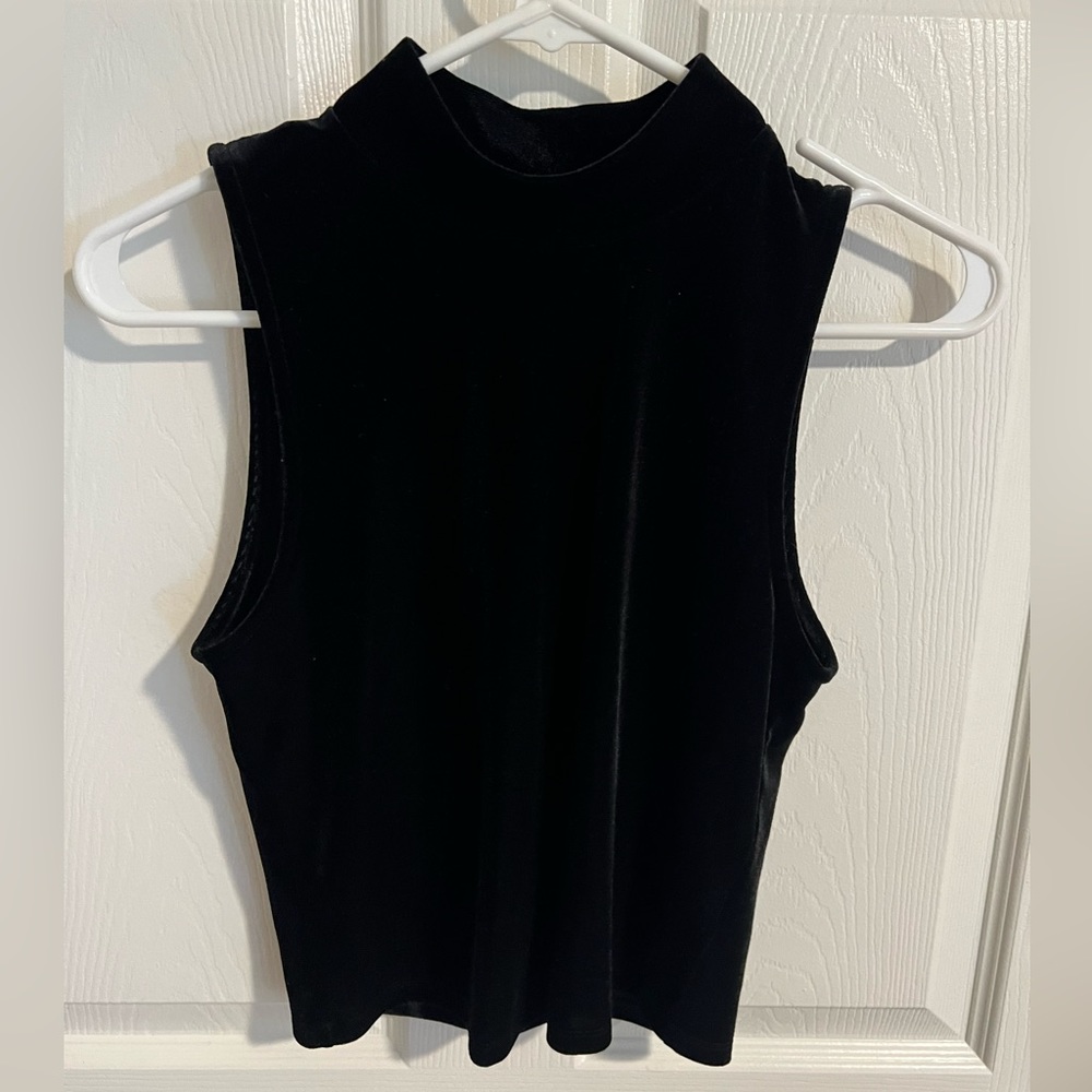 Olive and Oak Black Velvet Crop Top Size S